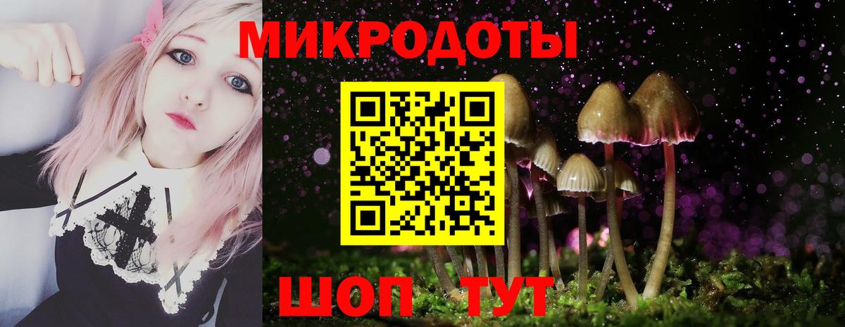 Галлюциногенные грибы мухоморы Соликамск