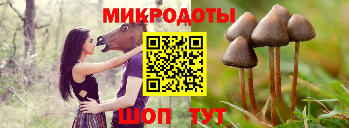 Галлюциногенные грибы Psilocybine cubensis  Галлюциногенные грибы Psilocybe  Вход с VPN  наркошоп  Соликамск 